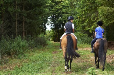 Βόλτα με Άλογο για 2 Άτομα! Ζήσε μια μοναδική εμπειρία απόδρασης στη φύση, σε ένα πανέμομορφο περιβάλλον, στον Αυλώνα! Βόλτα με Άλογο για 2 Άτομα! Ζήσε μια μοναδική εμπειρία απόδρασης στη φύση, σε ένα πανέμομορφο περιβάλλον, στον Αυλώνα!