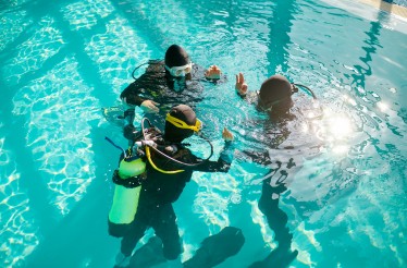 Εισαγωγή στην Κατάδυση (Basic Diver) & Υποβρύχια Φωτογράφιση, με παροχή Πλήρους Εξοπλισμού, σε Θερμαινόμενη Πισίνα στον Πειραιά! Εισαγωγή στην Κατάδυση (Basic Diver) & Υποβρύχια Φωτογράφιση, με παροχή Πλήρους Εξοπλισμού, σε Θερμαινόμενη Πισίνα στον Πειραιά!