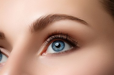 Lash Lift, Βαφή Βλεφαρίδων ή Εφαρμογή Brow Lift - Lamination & Βαφή Φρυδιών, με Θεραπεία Κερατίνης & δυνατότητα συνδυασμού, στη Νίκαια! Lash Lift, Βαφή Βλεφαρίδων ή Εφαρμογή Brow Lift - Lamination & Βαφή Φρυδιών, με Θεραπεία Κερατίνης & δυνατότητα συνδυασμού, στη Νίκαια!