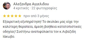 aivazidis-kritikes.jpg