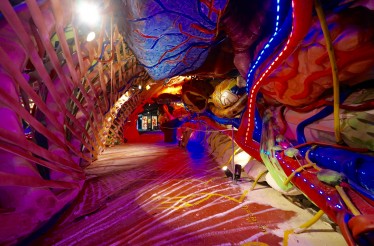 Είσοδος και Ξενάγηση (50') στο πρώτο και μοναδικό Μουσείο Ανθρώπινου Σώματος «Human Body Museum»!