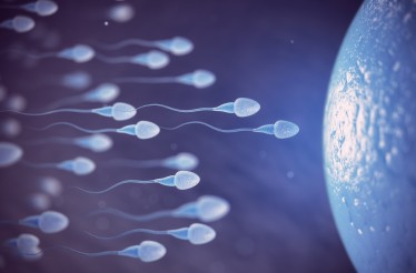 Ολοκληρωμένος Έλεγχος Σπέρματος (Σπερμοδιάγραμμα, Καλλιέργεια σπέρματος, Αντιβιόγραμμα), στο Αιγάλεω!