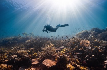 Κατάδυση Γνωριμίας (Scuba Diving) & Υποβρύχια Φωτογράφιση για 1 ή 2 Άτομα! Γνώρισε τη γοητεία του μαγευτικού βυθού και απόλαυσε ﻿μία αξέχαστη καταδυτική εμπειρία, στο Ναυάγιο της Επανομής!
