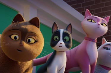 5€ για Είσοδο 1 Ατόμου στη Μεταγλωττισμένη Ταινία «Δεσποινίς Μόξι: Η Οδύσσεια μιας Γάτας», μια ζωντανή περιπέτεια κινουμένων σχεδίων, όπου μια κακομαθημένη γάτα ξεκινά ένα ταξίδι αυτοανακάλυψης ανά την Ευρώπη!