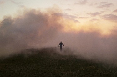 6€ από 8€ για Είσοδο 1 Ατόμου στην Ταινία «Ανάμεσα στις Καλαμιές», ﻿να ατμοσφαιρικό δράμα του Σβεν Μπρέσσερ για μυστικά, ενοχές και όσα κρύβονται κάτω από την επιφάνεια!