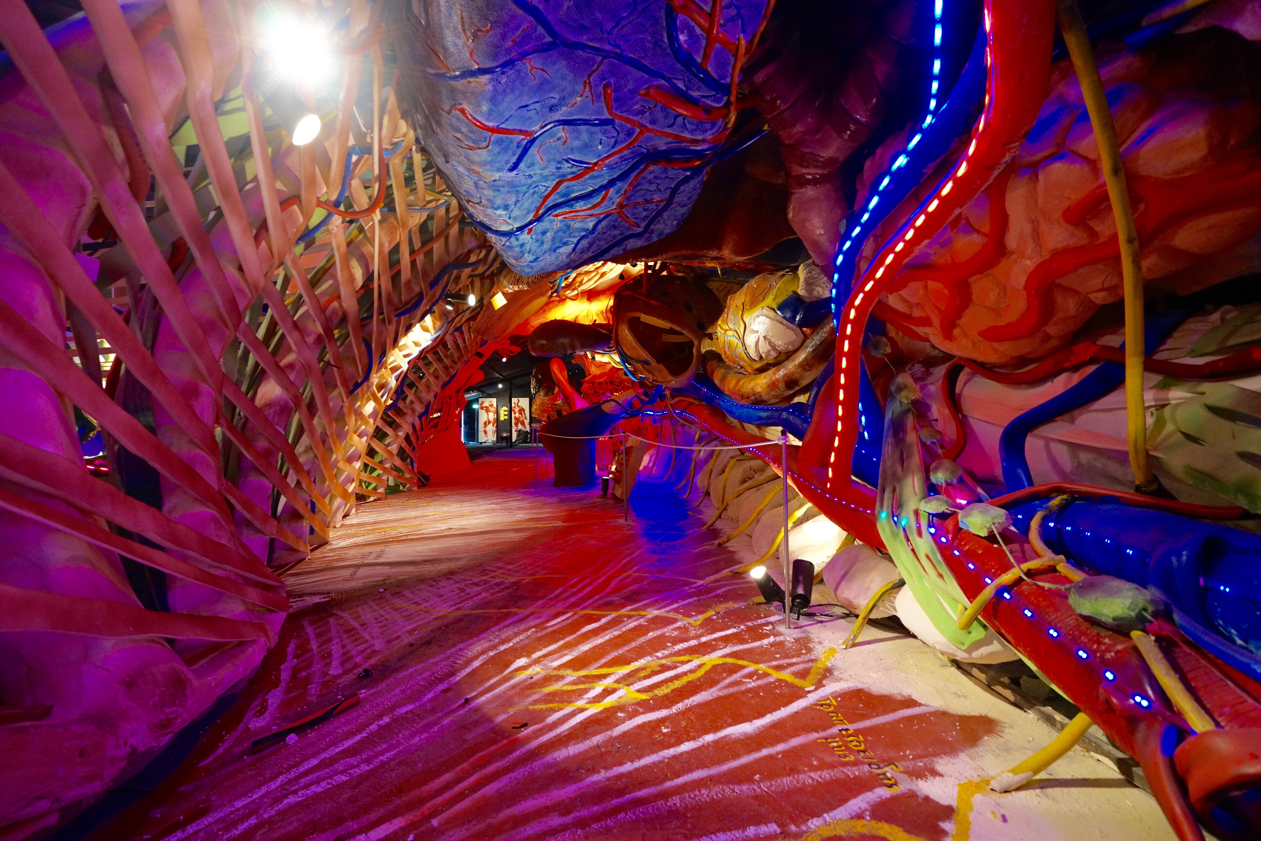 Από 5,50€ για Είσοδος και Ξενάγηση (50') στο Human Body Museum!